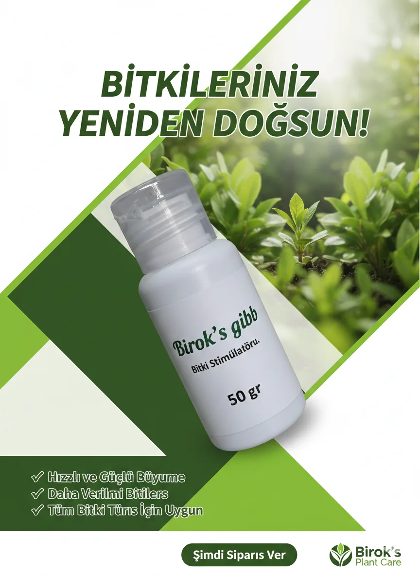 BİROK'S GİBB  50 ML
